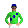 Jockey Silk