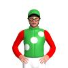 Jockey Silk