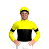 Jockey Silk