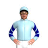 Jockey Silk