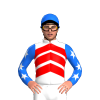 Jockey Silk