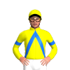 Jockey Silk
