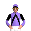 Jockey Silk