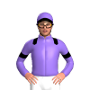 Jockey Silk