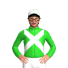 Jockey Silk