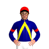 Jockey Silk