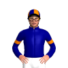 Jockey Silk