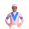 Jockey Silk