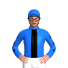Jockey Silk