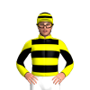 Jockey Silk