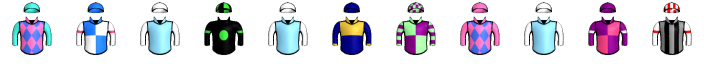 Runner silk