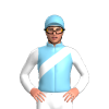 Jockey Silk