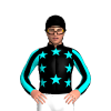 Jockey Silk