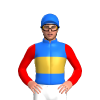 Jockey Silk