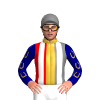 Jockey Silk