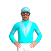 Jockey Silk