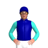 Jockey Silk