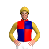 Jockey Silk