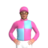 Jockey Silk