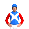 Jockey Silk