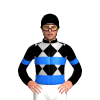 Jockey Silk
