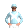 Jockey Silk