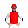 Jockey Silk