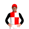 Jockey Silk
