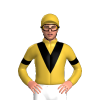 Jockey Silk