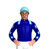 Jockey Silk
