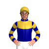 Jockey Silk