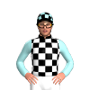 Jockey Silk