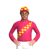 Jockey Silk