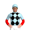 Jockey Silk