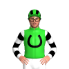 Jockey Silk