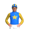 Jockey Silk