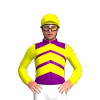 Jockey Silk