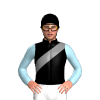 Jockey Silk