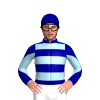 Jockey Silk