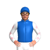 Jockey Silk