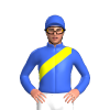 Jockey Silk