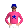 Jockey Silk