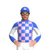 Jockey Silk
