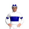 Jockey Silk