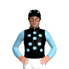 Jockey Silk
