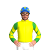Jockey Silk