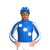 Jockey Silk