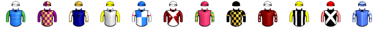Runner silk