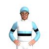 Jockey Silk