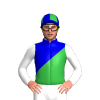 Jockey Silk